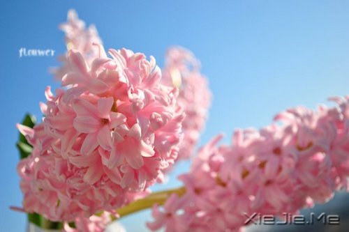 ��һ�����ɣ�ȥ�������� (6)