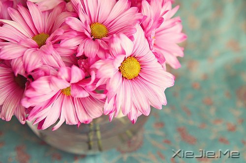 �Ҳ��³��󣬶�����������ȥ (5)