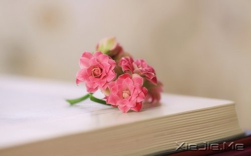 ������û��������Ȼ��ֻ���ĸ���Ը (4)