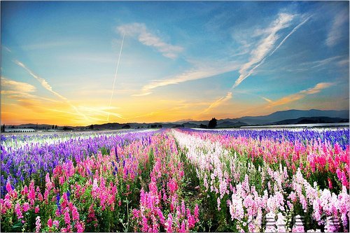 �簲��������������Ҹ��Ǽ������˰������� (1)