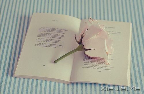 晚安心语:若你懂得,就请珍惜 (5)
