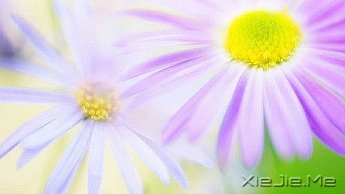 ���������������ʲô̬�ȣ�����һ������� (1)