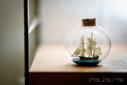 早安心语:生活就要像疯子一样的过,才能忘记生命给我们的颠簸 (9)
