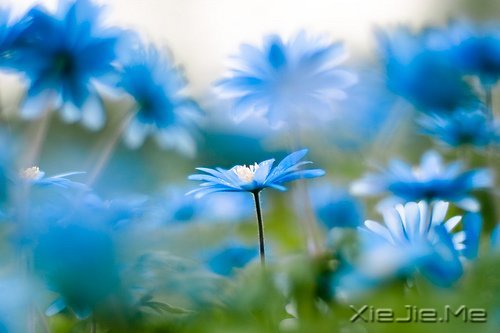 ����������飬�Һ�W�����Ĺ���