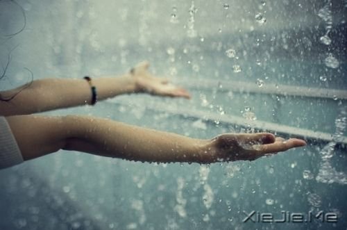 14�׹�����Ĵ������Ƽ� (11)